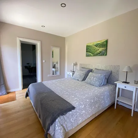 Casa De Carrapatelo Pensjonat Mesão Frio