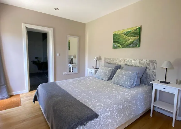 Casa De Carrapatelo Pensjonat Mesão Frio